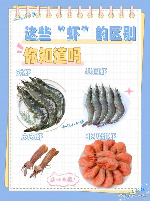 国联水产对虾养殖现状如何?-第1张图片-宁夏农业信息网 国联水产对虾养殖现状如何?-第1张图片-宁夏农业信息网