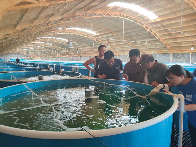 淮南水产养殖大户分布在哪些区域？-第3张图片-宁夏农业信息网