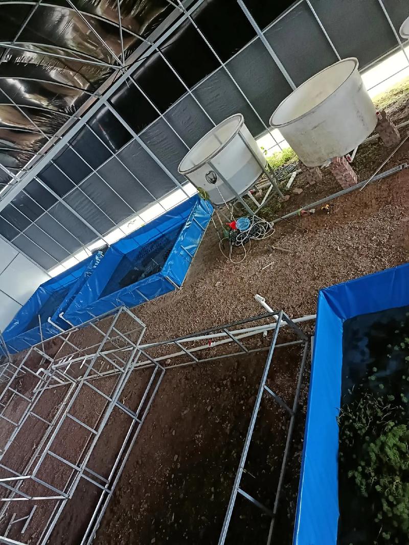 大棚水产养殖调水有何关键技巧？-第1张图片-宁夏农业信息网