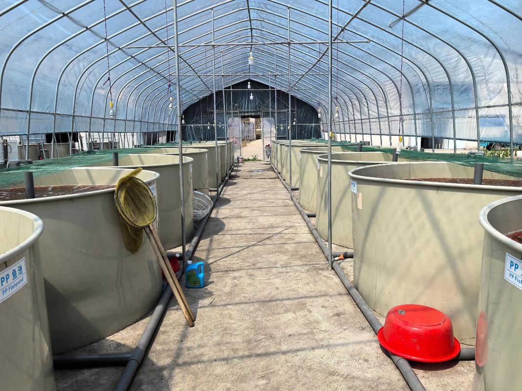 大棚水产养殖调水有何关键技巧？-第3张图片-宁夏农业信息网