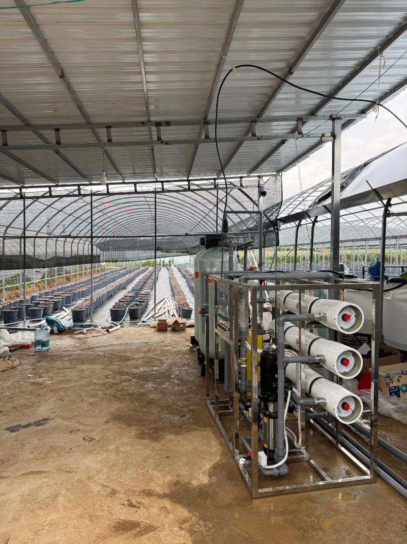 大棚水产养殖调水有何关键技巧？-第2张图片-宁夏农业信息网