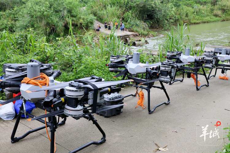 别桥农用无人机会展有哪些亮点？-第2张图片-宁夏农业信息网