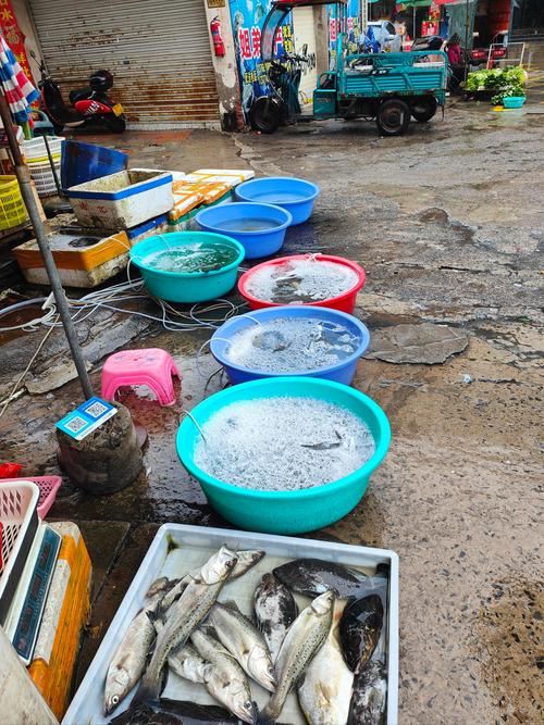 龙岩水产市场摊位出租怎么申请?-第1张图片-宁夏农业信息网 龙岩水产市场摊位出租怎么申请?-第1张图片-宁夏农业信息网