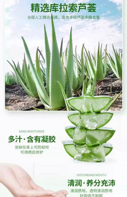 美容芦荟品种有哪些？看图识种！-第2张图片-宁夏农业信息网