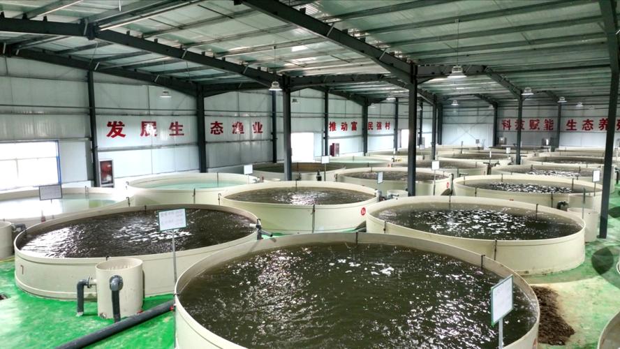 水产养殖发展空间为何被压缩？-第2张图片-宁夏农业信息网