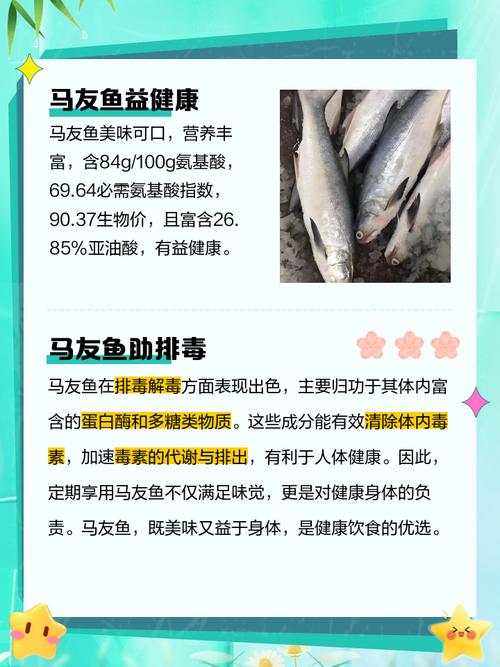 鱼类运输用药如何正确使用？-第2张图片-宁夏农业信息网