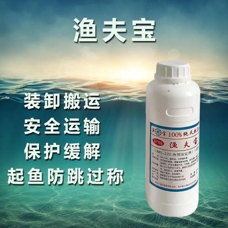 鱼类运输用药如何正确使用？-第3张图片-宁夏农业信息网