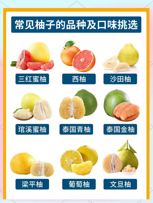 优质柚子品种如何高效繁殖？-第1张图片-宁夏农业信息网