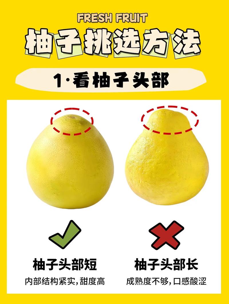 优质柚子品种如何高效繁殖？-第3张图片-宁夏农业信息网