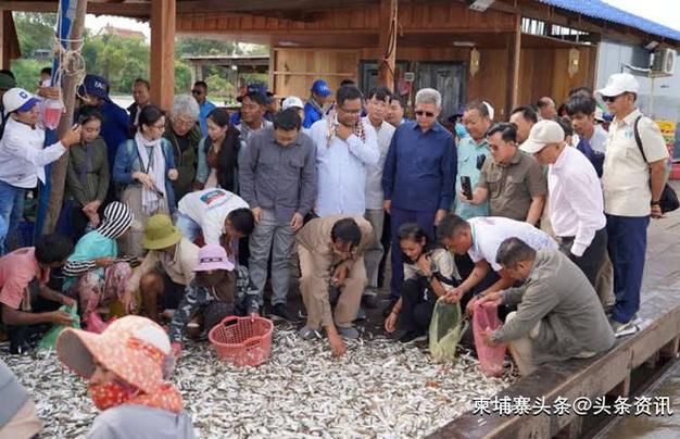 柬埔寨水产养殖有哪些种类？-第2张图片-宁夏农业信息网