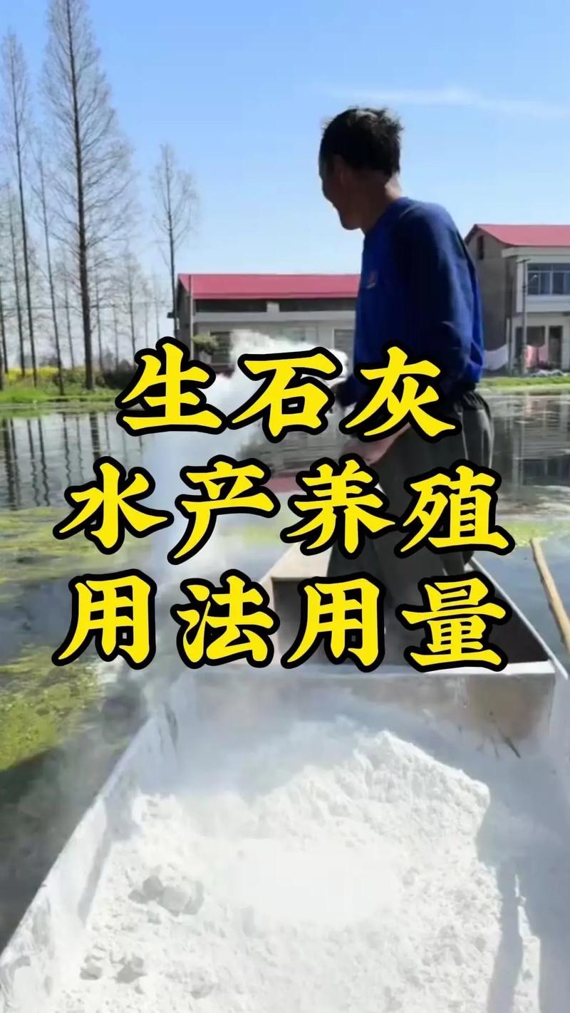 超市水产养殖怎么不死-第2张图片-宁夏农业信息网