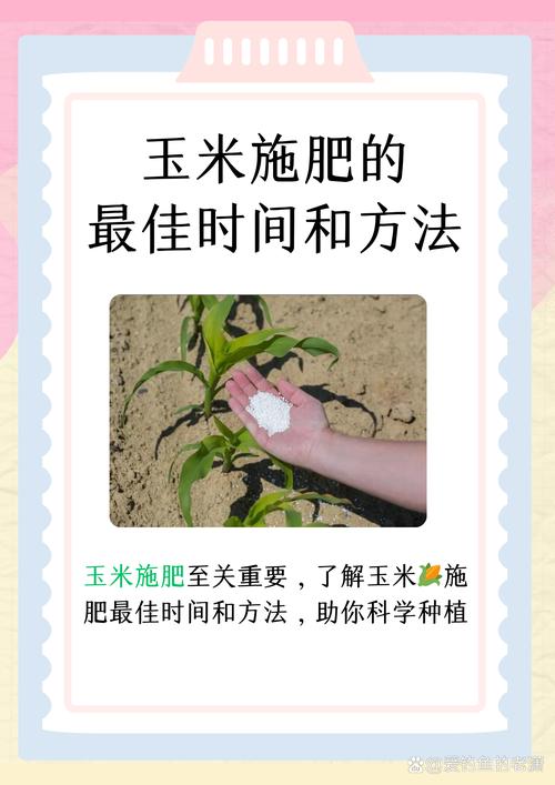 粘玉米何时种？怎么种才高产？-第1张图片-宁夏农业信息网