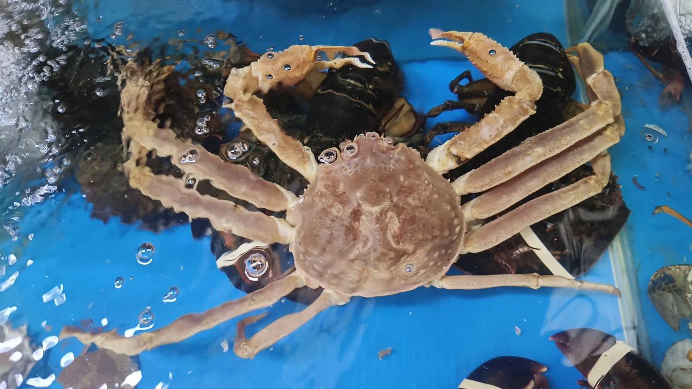 福州农贸水产几点上市？-第3张图片-宁夏农业信息网