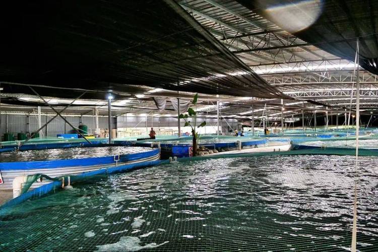 嘉善水产养殖主产区在哪？-第3张图片-宁夏农业信息网