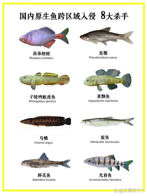 浙江淡水鱼品种有多少种？-第1张图片-宁夏农业信息网