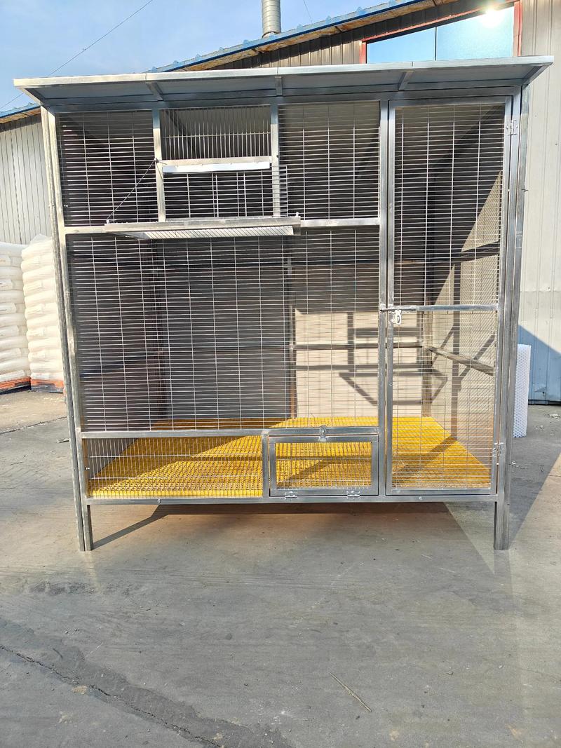 肉鸽子笼子怎么养殖方法-第1张图片-宁夏农业信息网