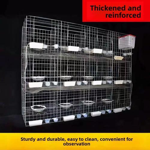 肉鸽子笼子怎么养殖方法-第3张图片-宁夏农业信息网