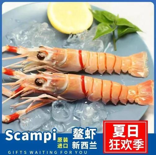 中国水产出口新西兰有哪些主打品种？-第1张图片-宁夏农业信息网