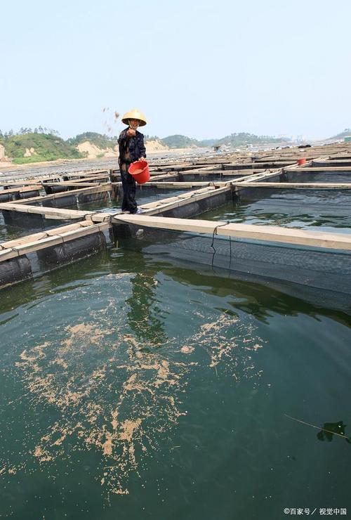 北方水产养殖常见品种有哪些？-第2张图片-宁夏农业信息网