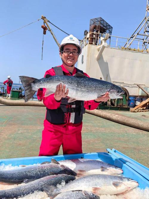 青岛今年水产养殖情况，产量与收益究竟如何？-第2张图片-宁夏农业信息网