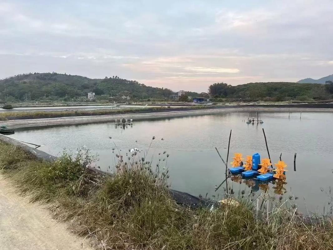 小龙虾养殖水草怎么栽培才高产？-第1张图片-宁夏农业信息网