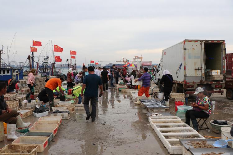 烟台莱州海鲜水产码头有何特色？-第2张图片-宁夏农业信息网