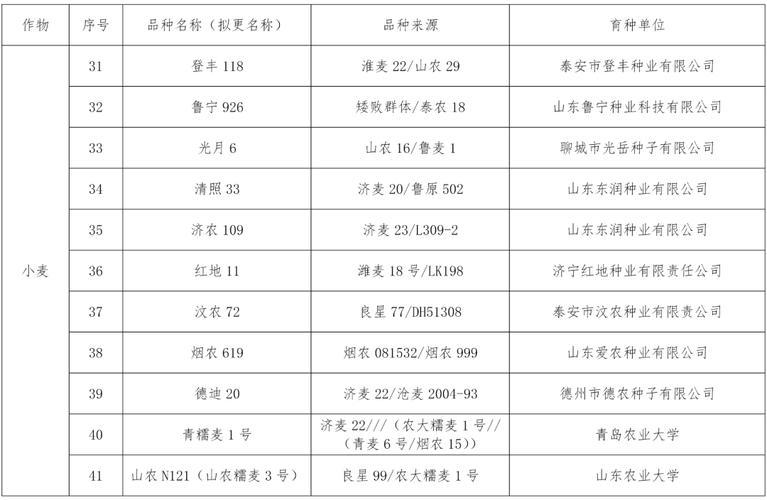河南山东，小麦品种谁更优？-第1张图片-宁夏农业信息网