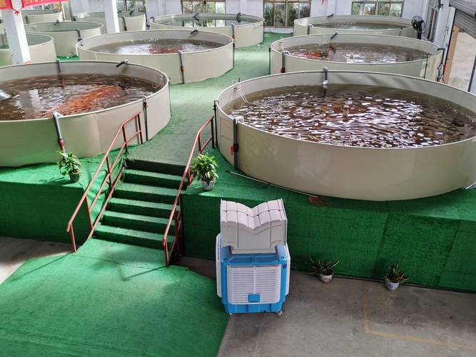 水产养殖水质处理公司如何选？-第1张图片-宁夏农业信息网