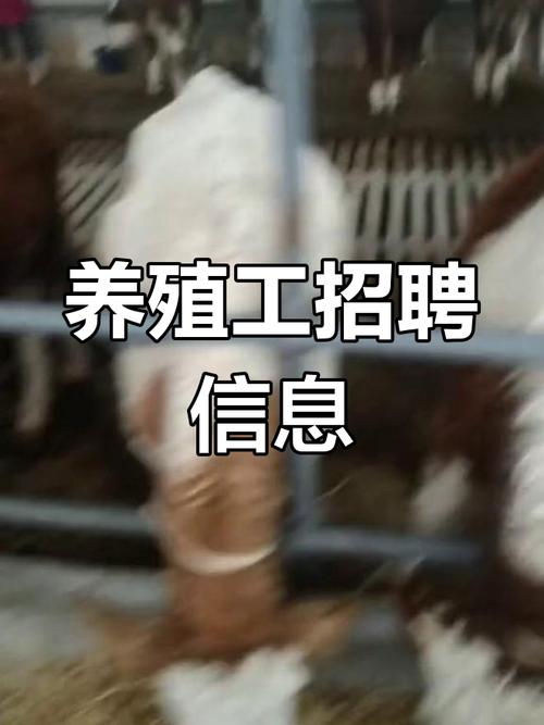 水产养殖招工信息有哪些岗位要求？-第2张图片-宁夏农业信息网