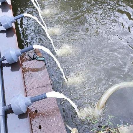 水产养殖如何造成水体污染？-第3张图片-宁夏农业信息网