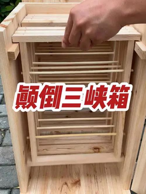 如何自制简易蜜蜂蜂箱？-第2张图片-宁夏农业信息网