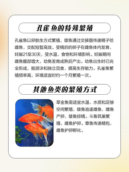 水产养殖鲜鱼捕捞制度如何规范操作?-第2张图片-宁夏农业信息网 水产养殖鲜鱼捕捞制度如何规范操作?-第2张图片-宁夏农业信息网