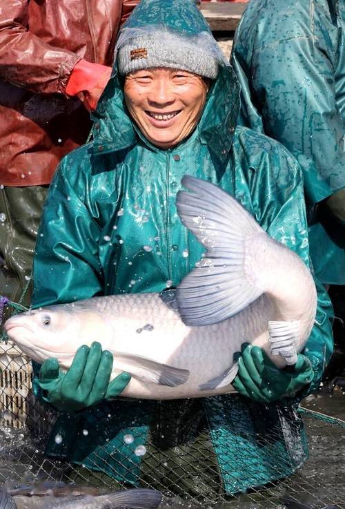 浙江高档淡水养殖如何突破瓶颈，实现高收益？-第1张图片-宁夏农业信息网