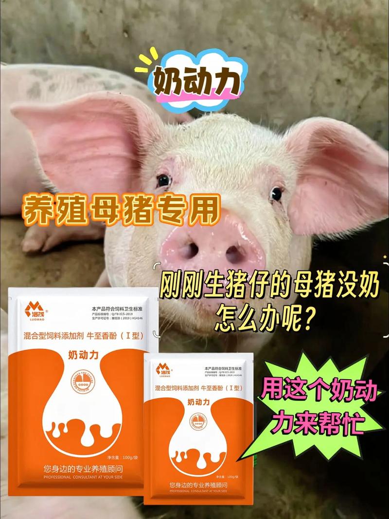 母猪缺奶的最佳治疗方法-第2张图片-宁夏农业信息网