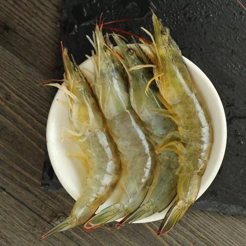 青岛水产对虾批发市场哪里找？-第3张图片-宁夏农业信息网