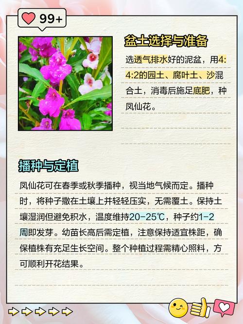 凤仙种植方法及注意事项-第2张图片-宁夏农业信息网