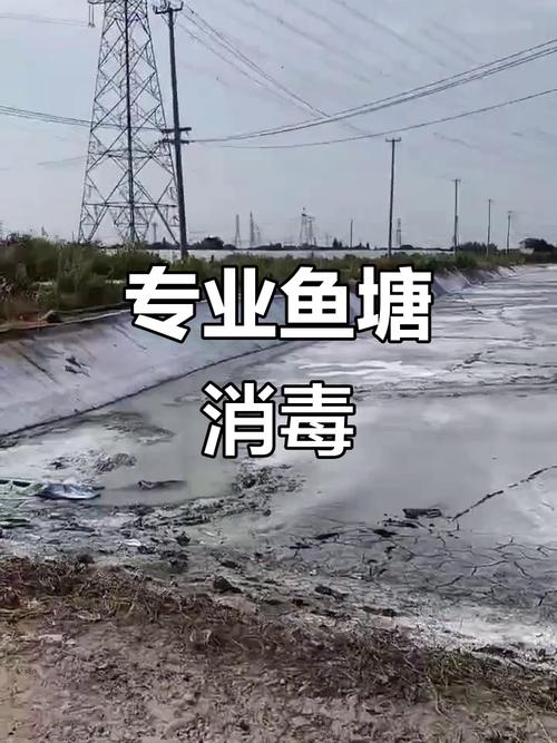 生石灰冬季鱼塘使用方法-第2张图片-宁夏农业信息网