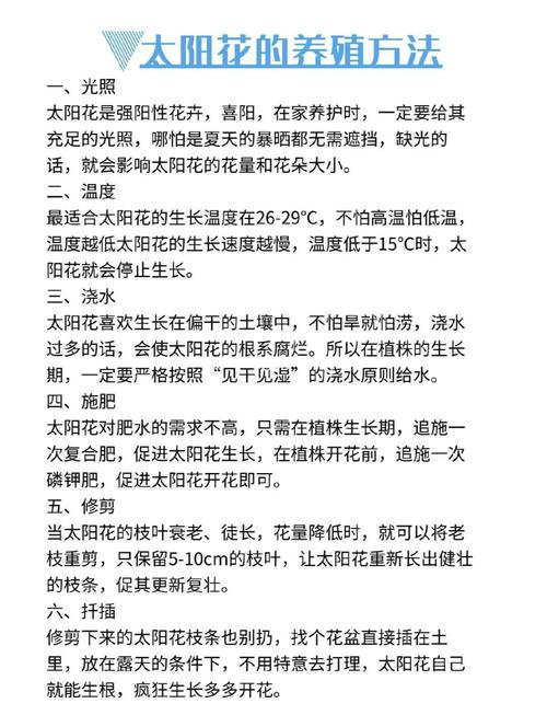 太阳花的养殖方法怎么养-第2张图片-宁夏农业信息网