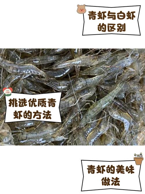 青虾养殖有哪些成功事迹可借鉴?-第1张图片-宁夏农业信息网 青虾养殖有哪些成功事迹可借鉴?-第1张图片-宁夏农业信息网