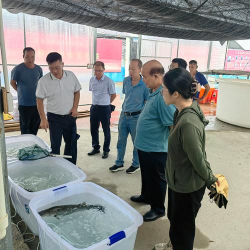 全国水产原种良种审定-第3张图片-宁夏农业信息网