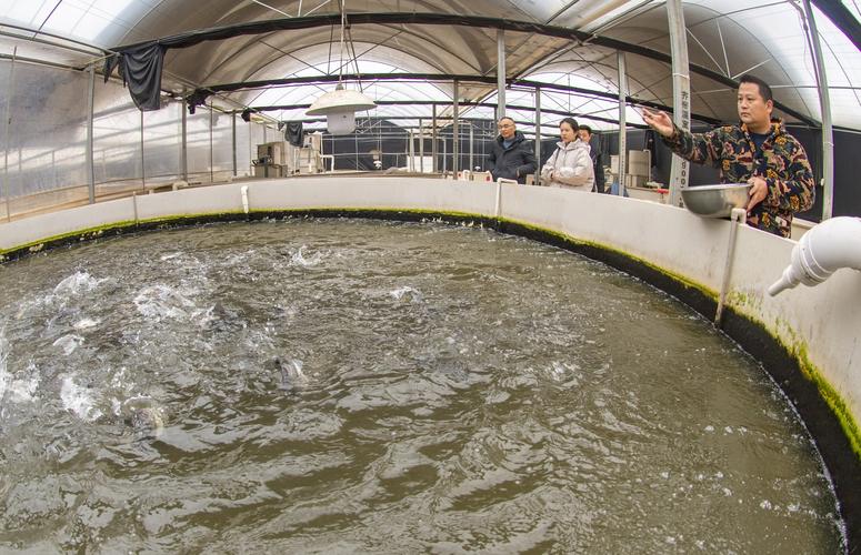 化州养殖水产面积多大-第1张图片-宁夏农业信息网