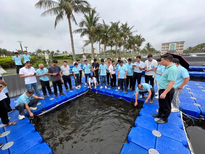 化州养殖水产面积多大-第2张图片-宁夏农业信息网