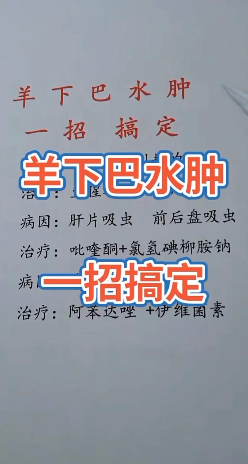 羊肠道疾病最佳治疗方法-第1张图片-宁夏农业信息网