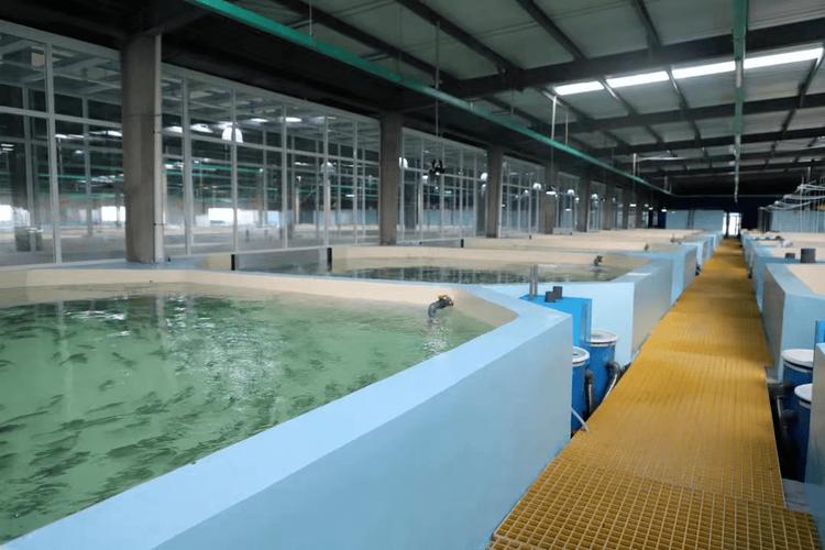 水产室内立体养殖项目-第2张图片-宁夏农业信息网