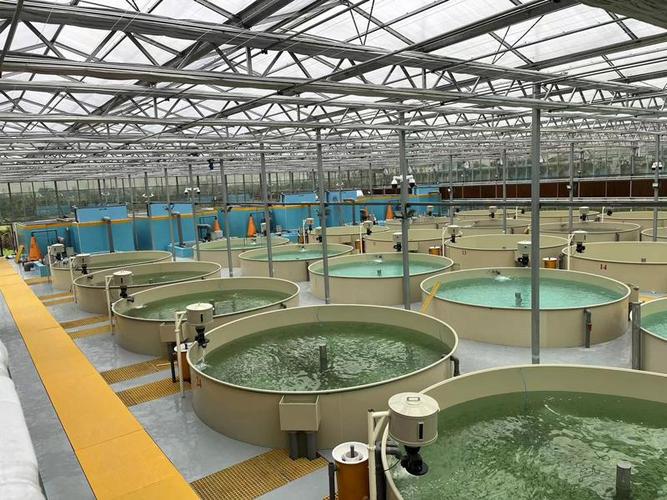 水产室内立体养殖项目-第1张图片-宁夏农业信息网