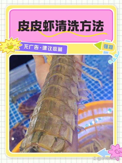 怎么去除水产样本蛋白-第1张图片-宁夏农业信息网 怎么去除水产样本蛋白-第1张图片-宁夏农业信息网