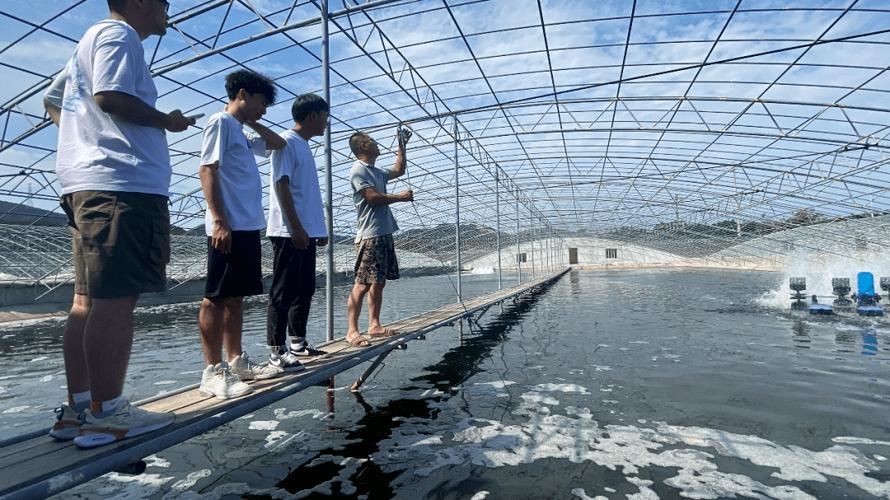 班级水产基地实践总结-第2张图片-宁夏农业信息网