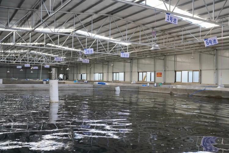 如何加强水产养殖设备监管？-第1张图片-宁夏农业信息网