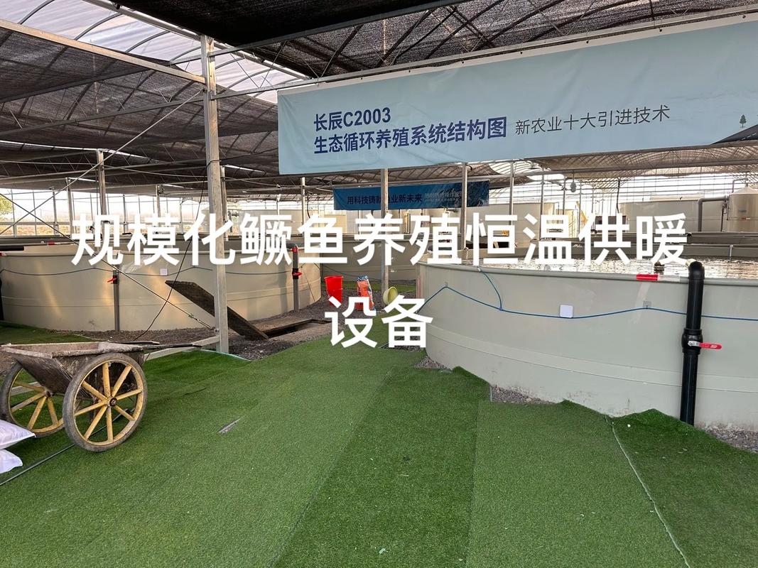 如何加强水产养殖设备监管？-第3张图片-宁夏农业信息网