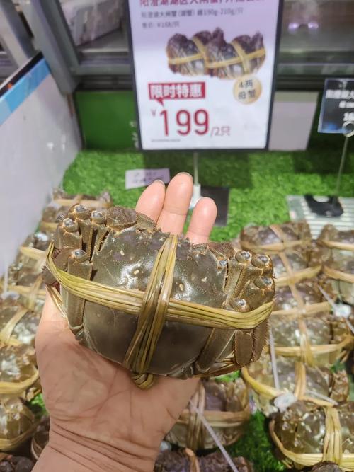 无锡苏南水产城大闸蟹品质如何？-第1张图片-宁夏农业信息网